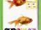 Kartki  Naklekartka ze złotą rybką NOWA!!!!