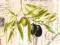 b*d   LUX SERWETKI PAPIEROWE - L`Olive - OLIWKI