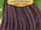 Fasola Purple Teepee fioletowa nasion 40g +AL+