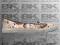British Knights Women's Ballerina - roz. 41 - nowe