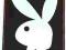 plakat oprawiony - PLAYBOY logo