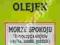 OLEJEK (OLEJKI) ZAPACHOWE 12ml - MORZE SPOKOJU