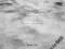 BALLAMY / STRONEN / MOLVAER / FENNESZ - FOOD /CD/