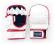RĘKAWICE DO MMA MARKI EVOLUTION WHITE -  rozm. XL