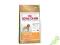 ROYAL CANIN POODLE 30 ADULT PUDEL 1,5kg