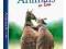 ANIMALS IN LOVE  - dvd
