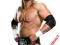 WWE FIGURKA 36cm TRIPLE H , WORLD WRESTLING