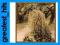 CASSANDRA WILSON: BELLY OF THE SUN (CD)