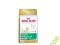 ROYAL CANIN GOLDEN RETRIEVER 29 JUNIOR 3kg