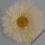 Piękna kremowa gerbera.,sztuczne kwiaty