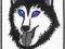 Naszywka HUSKY