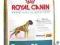Royal Canin Boxer 26 - 3kg *ZW*