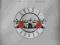 AA67D  GUNS AND ROSES GREATEST HITS (CD)