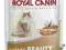 Royal Canin Intense Beauty 12 - 12 x 85 g *ZW*