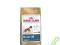 ROYAL CANIN BOXER 26 ADULT BOKSER 12kg