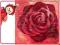 PUZZLE RED ROSE 500 ELEMENTÓW (15213)