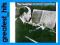 GEORGE GERSHWIN: THE ESSENTIAL GEORGE GERSHWIN (2C