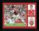 Arsenal Van Persie 11/12 - obraz w ramie 40x30cm