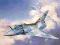 REVELL Mirage 2000 C