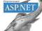 ASP.NET. Programowanie