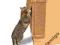 TRIXIE drapak narożny dla kota 32 x 60 cm brązowy