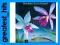 greatest_hits EUMIR DEODATO: LOVE ISLAND (CD)