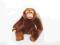 ROXI ORANGUTAN 18 cm