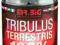 MR.BIG TRIBULUS TERRESTRIS 100% 120 kaps. +GRATISY