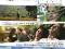 WINO TRUSKAWKOWE @ Maciej Stuhr @ DVD @