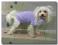 Sweterek dla psa PURPLE CAGNOLINO BIG DOG Dogszone