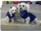 Sweterek dla pieska BLUE CAGNOLINO BIG DOGDogszone