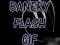 ANIMACJA FLASH BANER BANERY BUTTON JPG PNG GIF