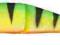 Guma Soft4PLAY FireTiger 19cm/60g SAVAGEAR 42192