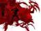 Dragon Age Origins Awakening Classic PC PL