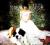 Norah Jones THE FALL  || digipack  2CD