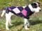 SWETEREK DLA PSA EDMONTON  S 35cm TX-30802