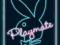 Playmate (Neon) - plakat 40x50 cm