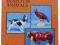 Royal Doulton Animals katalog, figurki 1994r