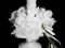 Stroiki stroik na świeczkę róża ślub KOMUNIA U173