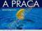 Sukces a praca - audiobook, CD MP3