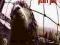 Pearl Jam - Vs.