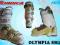 NORDICA buty OLYMPIA SM 10  23,5 lady teraz TANIEJ