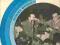 VinylSpot JAZZ - Benny Goodman and Tommy Dorsey