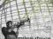 {{{ CD MILES DAVIS - VOLUME 1 new najpewniej RVG