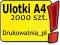 ULOTKI A4 2000 szt - DWUSTRONNE - ULOTKA A4