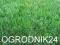 SZTUCZNA TRAWA JAK ŻYWA ! TRAWNIK NOWOSC HURT W-WA