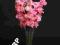 Mieczyk różowokremowy Gałązka Sztuczne kwiaty