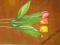 Tulipan satynowy 50cm Mix kolorów cudo HURT