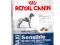 Royal Canin MAXI SENSIBLE - 4kg.