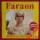 Faraon